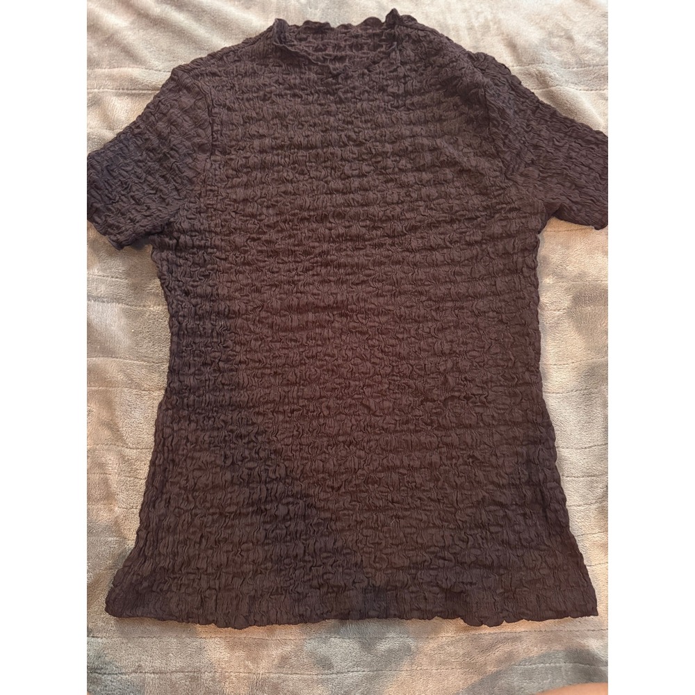 Corp Brown Popcorn Crinkle Mock Neck Short Sleeve Top